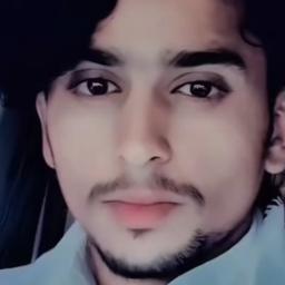 سلطان محمد الرشيدي 