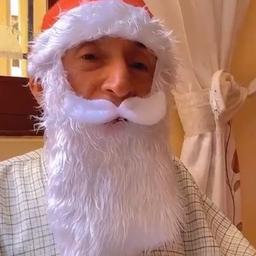 Papá toto