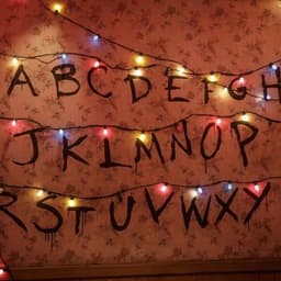 𝐅𝐢𝐧𝐧 𝐖𝐡𝐨𝐥𝐟𝐚𝐫𝐝