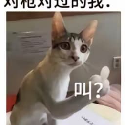 小阁老