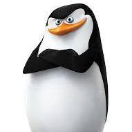 Skipper