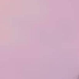 جج