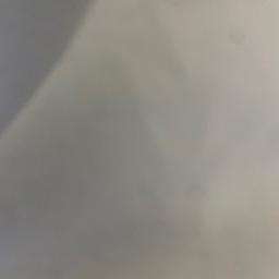 فايز