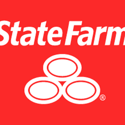 State Farm Voice #2