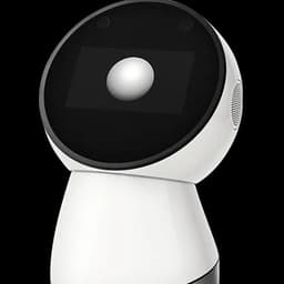 Jibo