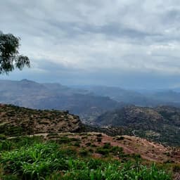 كوتي كوتي كوتي صاحب حسن