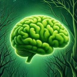 جَناحَ حق اليقين؟ 