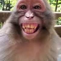 Yaraza