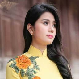 越南音色（主）