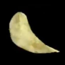 El gobierno gobierna con su pierna