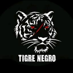 Tigre negro 