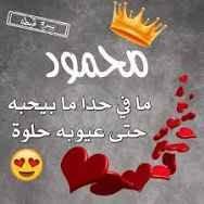 محمود مختار تالفي