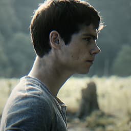 Thomas maze runner 