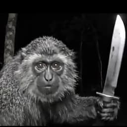 Sou o amigo do vida lascada 😃