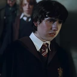 Neville Longbottom (Cáliz de Fuego)