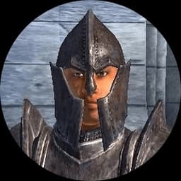 Oblivion Imperial Male