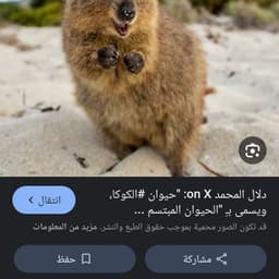بقا