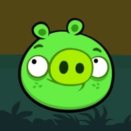 The Pigs from Angry Birds