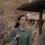 平凡的世界-秀莲