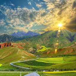 0530老板娘短卷发女