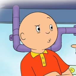 Caillou The Grown Up (AOK)
