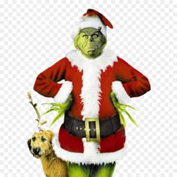 The Grinch (Jim Carrey)