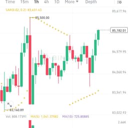 Crypto experience Malik 