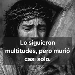Saul hb3