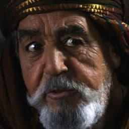 عتبة بن ربيعة 