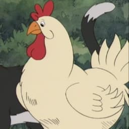 Hen