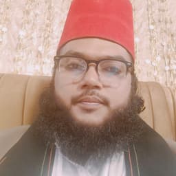 Syed Ameer ul Hassan