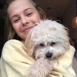 Darci Lynne 