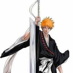 Ichigo kurosaki 