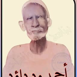 الطيب مرتضي 