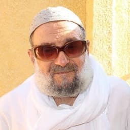 محمد دياب