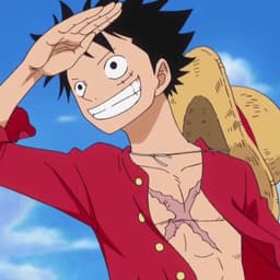 Luffy 