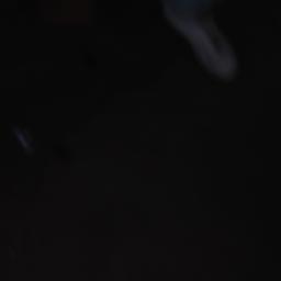 ست سلمي