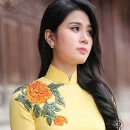 越南音色（主）2