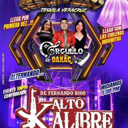 Animador de eventos 