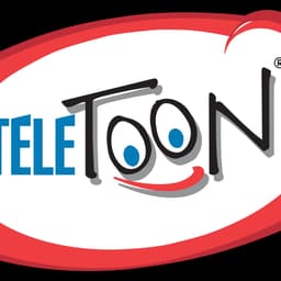 Teletoon Announcer (1999-2001)