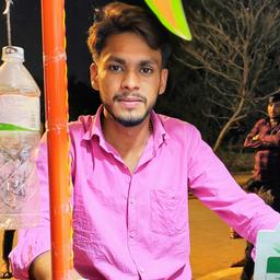 Ankit Meena 