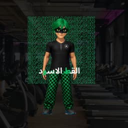 القط الاسود 