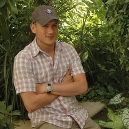 Wentworth miller 