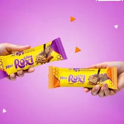 السيد عبده الملك الحووثي