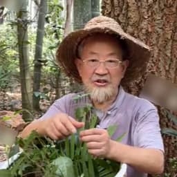 草帽版老老老登