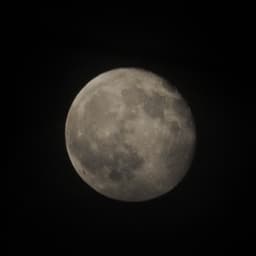 しなの鉄道（１１５）