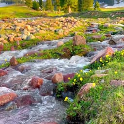 0519达人牛仔马甲双眼皮