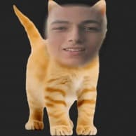 ونوسي اوسي اوسي