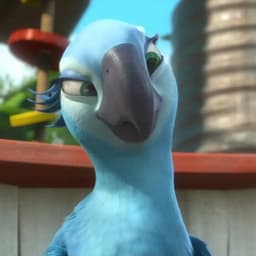 PERLA RIO 1 Y 2 REPRISE