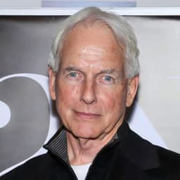 Mark Harmon 